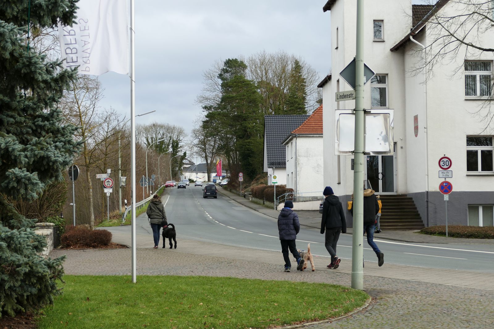 Hier geht es hinauf in den großen Wald