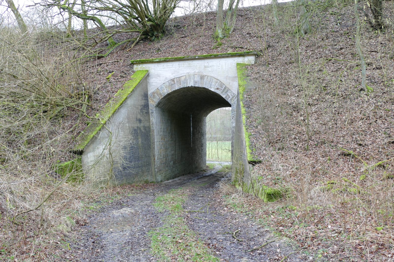Alte Bahnstrecke zw. Büren und Weine: Februar 2020