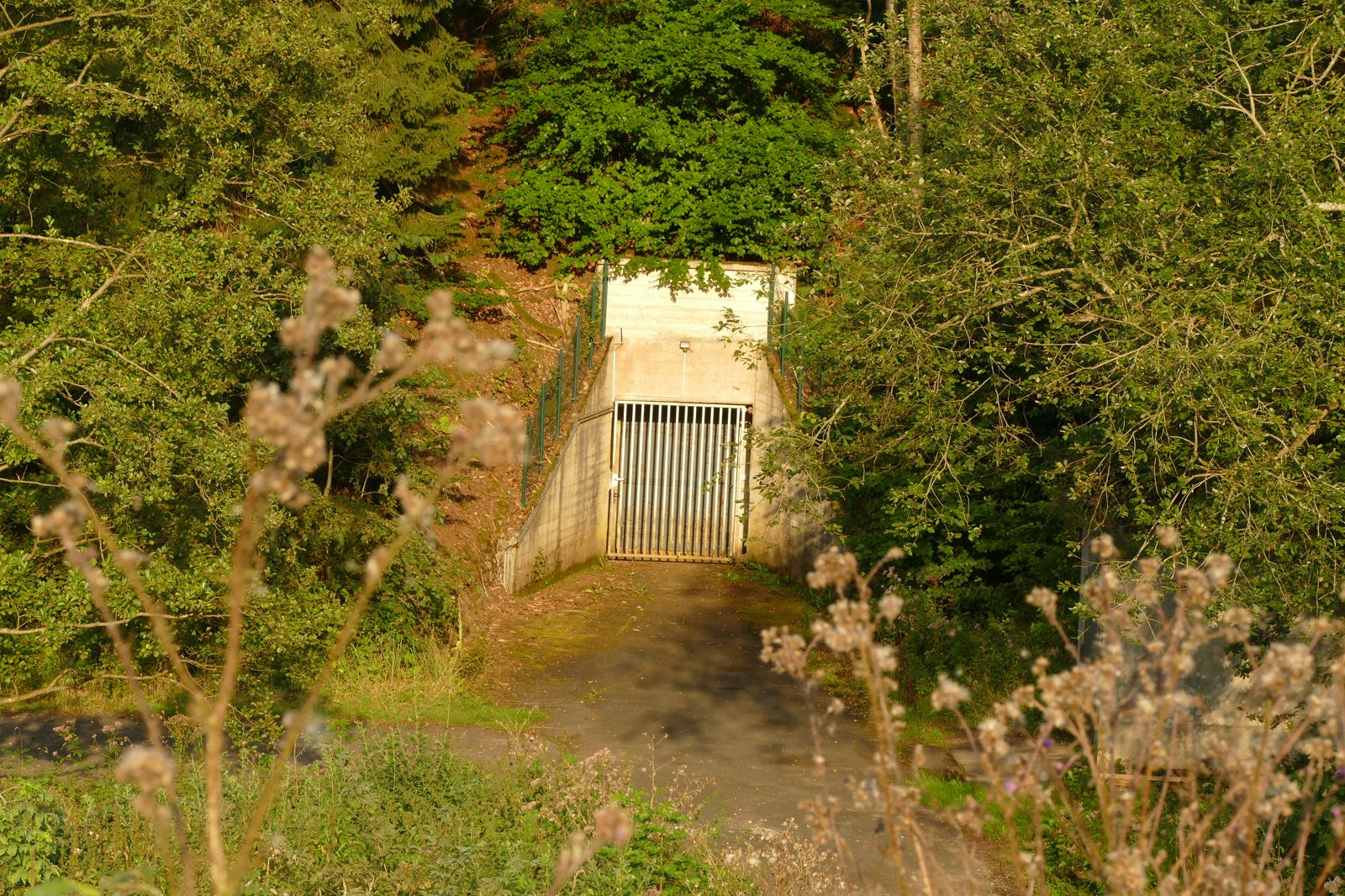 Ehemalige Bunkergebäude im Ringelsteiner Wald (Muna-Gelände)