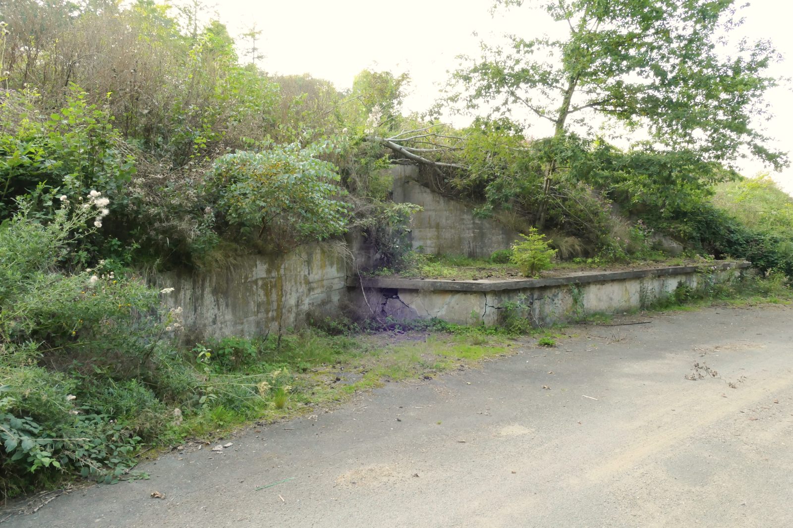 Ehemalige Bunkergebäude im Ringelsteiner Wald (Muna-Gelände)