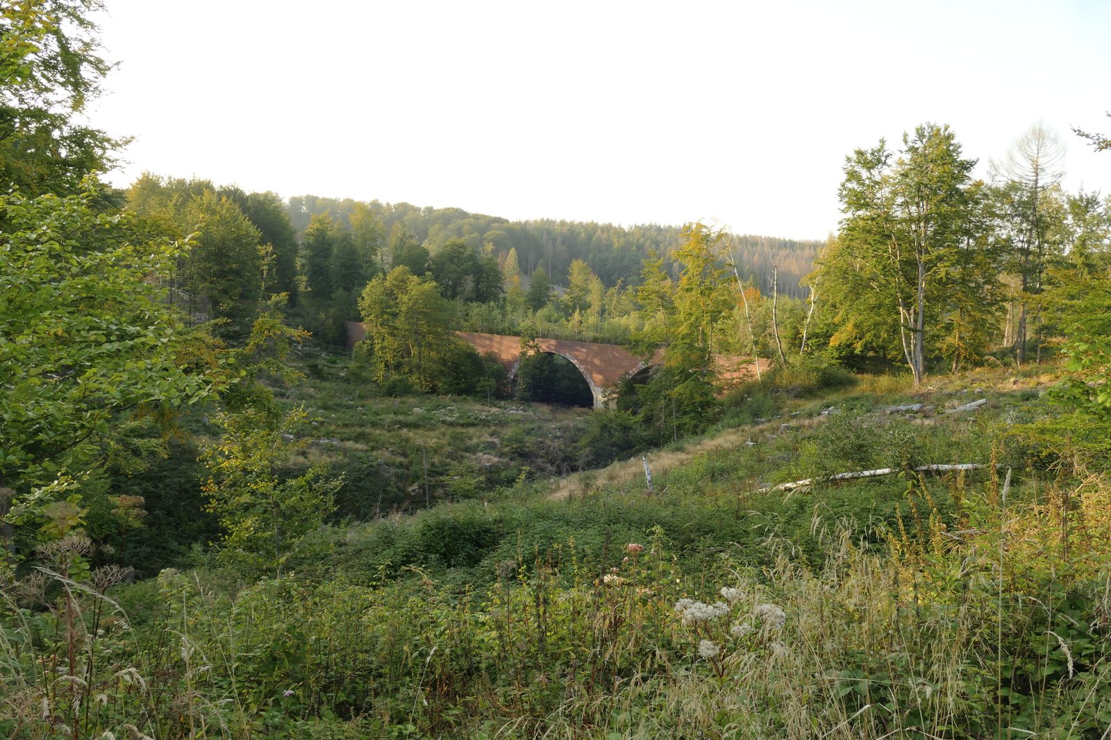 Unterer Viadukt im Ringelsteiner Wald, jetzt gesperrt