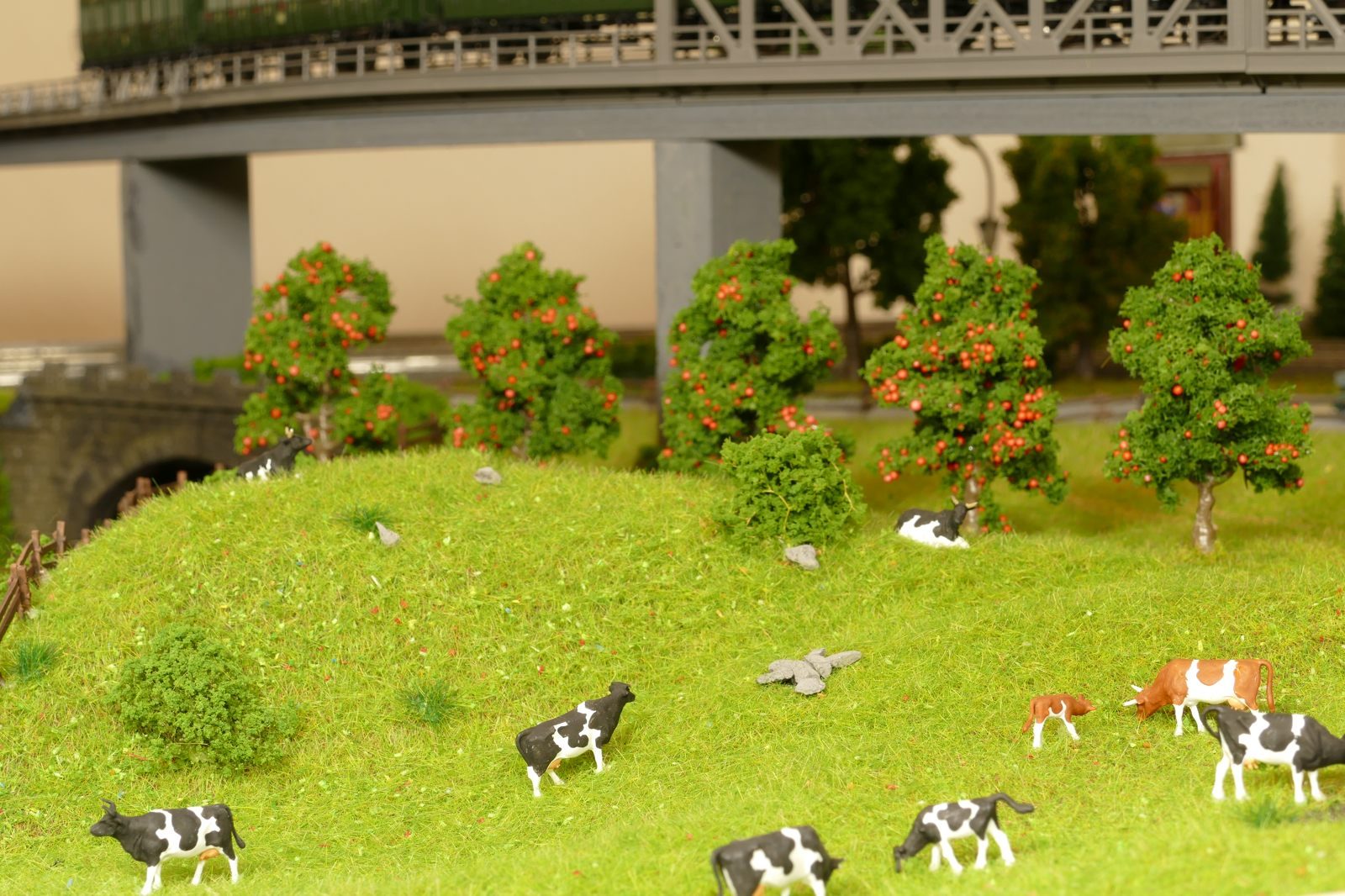 Die Tiere genießen den schönen Sommertag