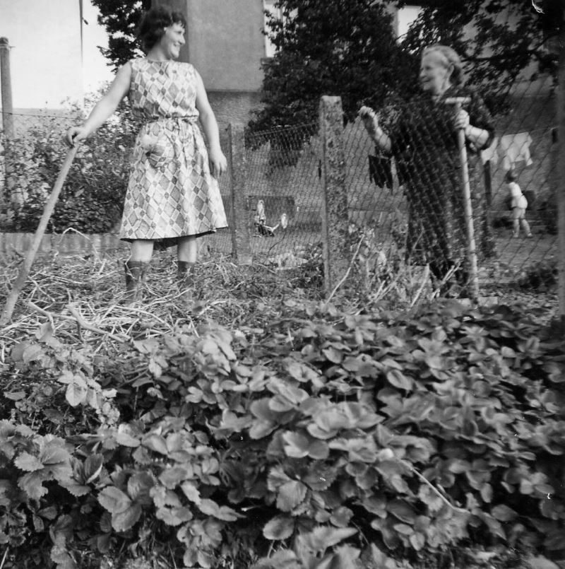 BS 1966 Mama und Oma Kleinschnittger im Garten800