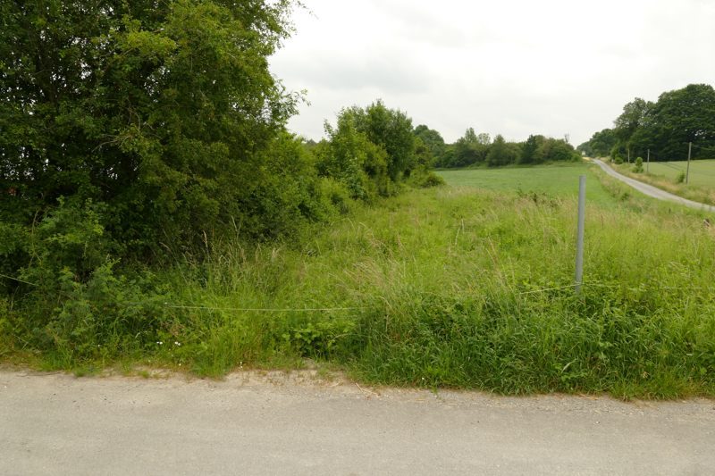 BürenA_Mucht2019a_0800