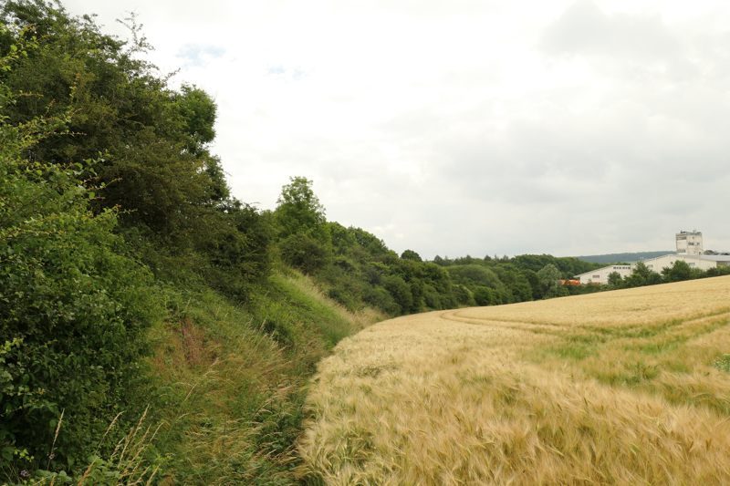 BürenB_Mucht2019a_0800