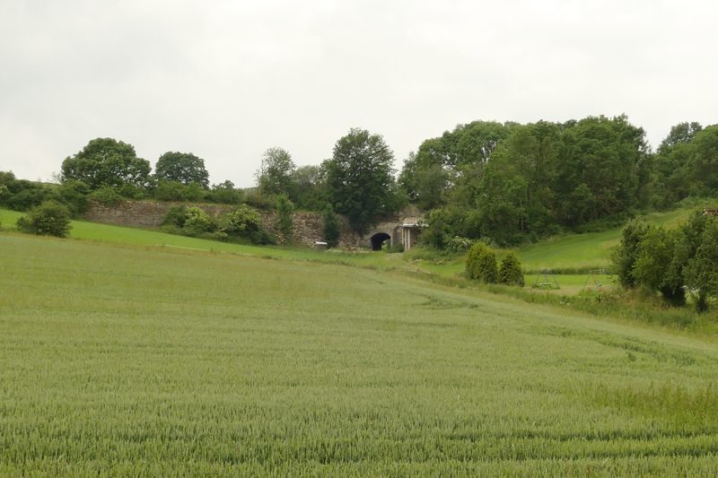 BürenB_Mucht2019b_0800